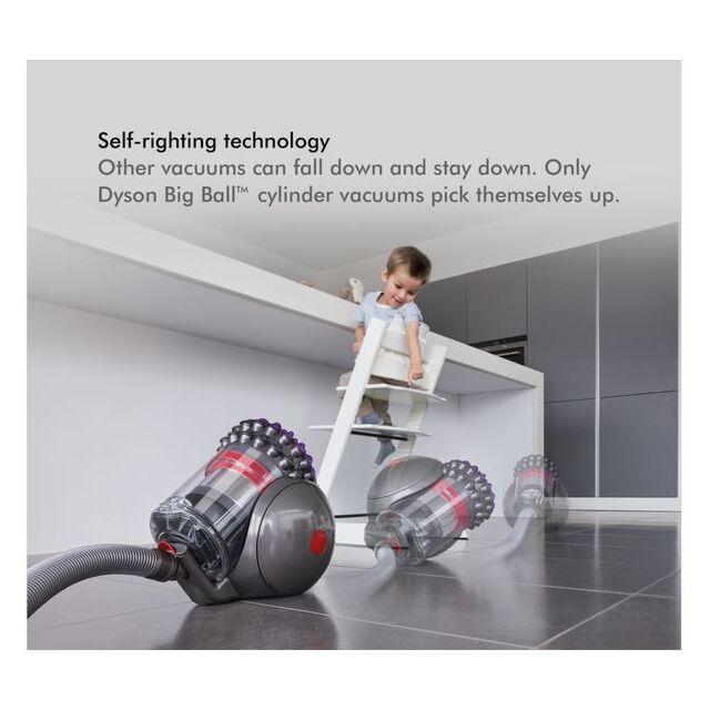 Dyson Big Ball Animal 2 Cylinder Vacuum Cleaner