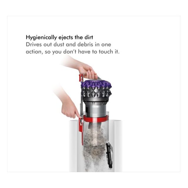 Dyson Big Ball Animal 2 Cylinder Vacuum Cleaner