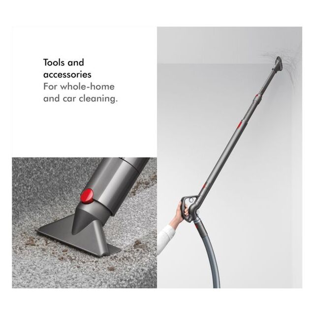 Dyson Big Ball Animal 2 Cylinder Vacuum Cleaner
