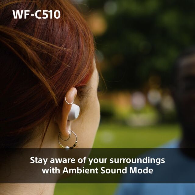 WFC510L.CE7 Wireless In ear headphones - Blue