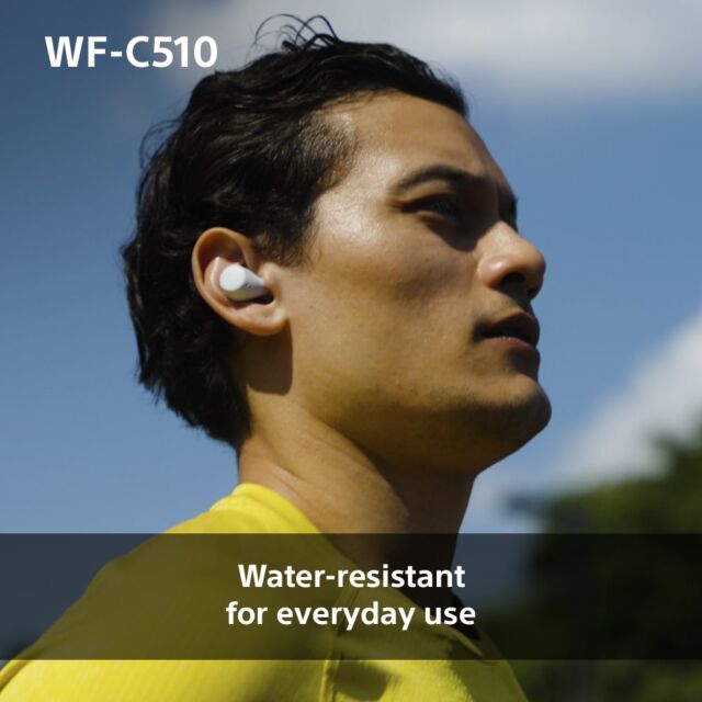 WFC510L.CE7 Wireless In ear headphones - Blue